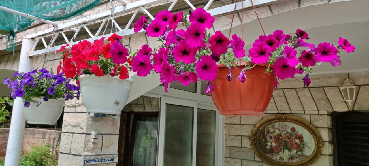 Apartments 1000 Flowers Stari Grad  Kültér fotó