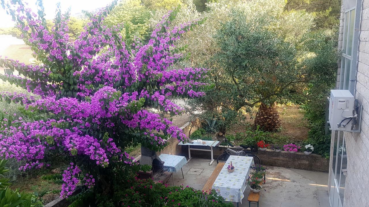 Apartments 1000 Flowers Stari Grad  Kültér fotó
